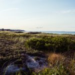 探索新2网站的独特功能与用户体验提升 b3mb4kjikh