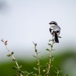 探索巴黎人赌博网站的魅力与游戏选择 l3hxw5v0bj