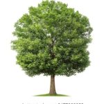 探索最佳二十一点游戏网址,畅享极致娱乐体验 mid93hz